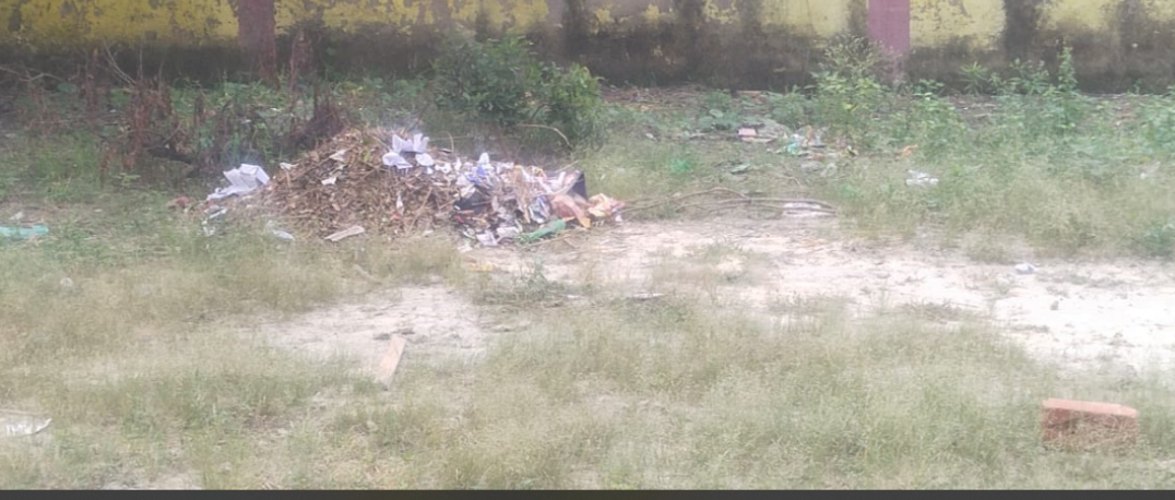 Nasenia Composite School Swachhata Issue